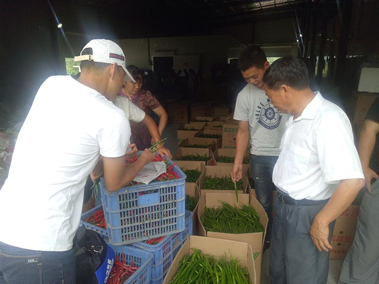 老子有钱lzyq88(中国)有限公司