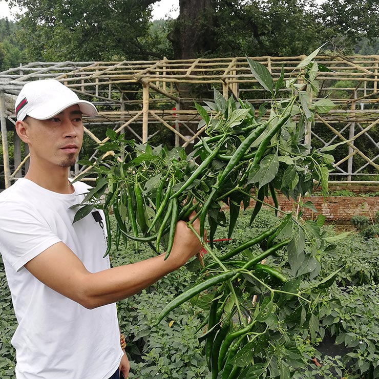 老子有钱lzyq88(中国)有限公司