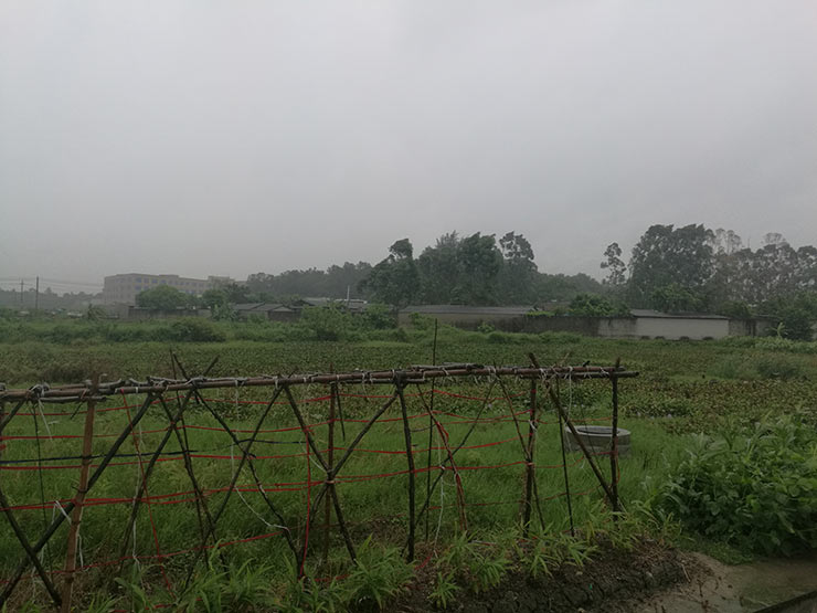 老子有钱lzyq88(中国)有限公司