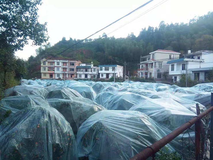 老子有钱lzyq88(中国)有限公司