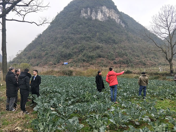 老子有钱lzyq88(中国)有限公司