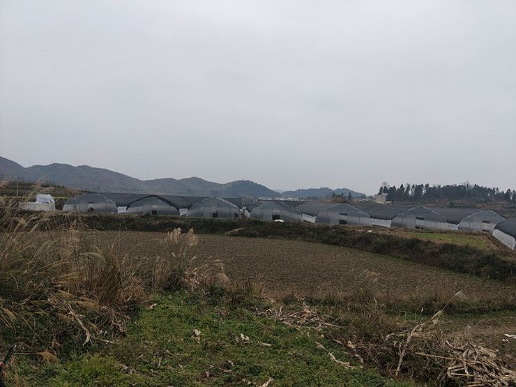 老子有钱lzyq88(中国)有限公司