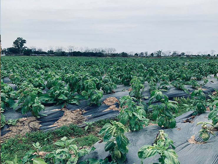 老子有钱lzyq88(中国)有限公司