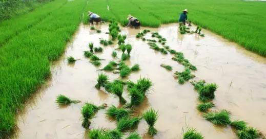 老子有钱lzyq88(中国)有限公司