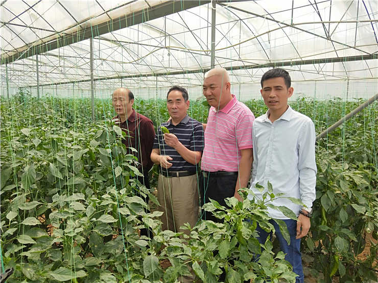 老子有钱lzyq88(中国)有限公司