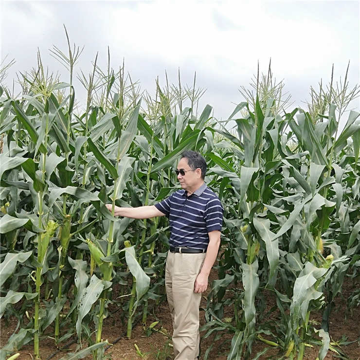 老子有钱lzyq88(中国)有限公司