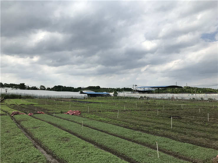 老子有钱lzyq88(中国)有限公司