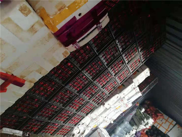 老子有钱lzyq88(中国)有限公司