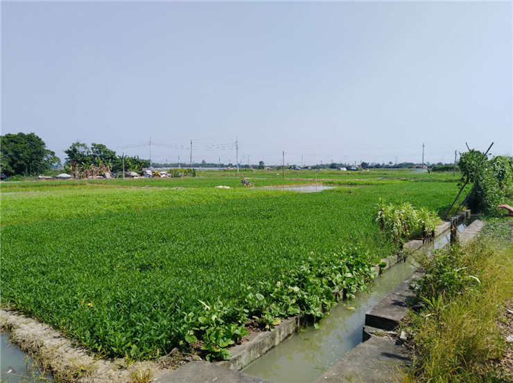 老子有钱lzyq88(中国)有限公司