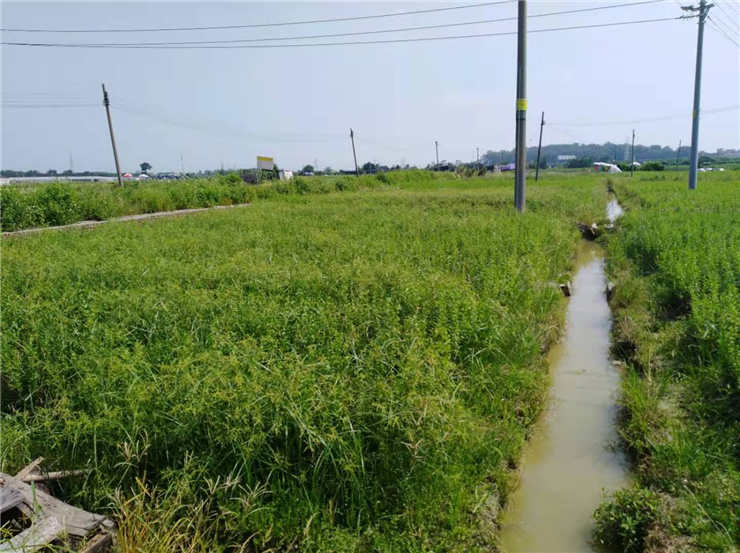 老子有钱lzyq88(中国)有限公司