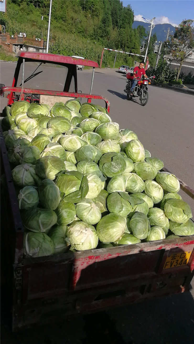 老子有钱lzyq88(中国)有限公司