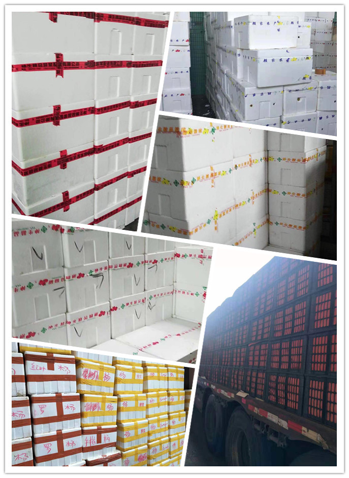 老子有钱lzyq88(中国)有限公司