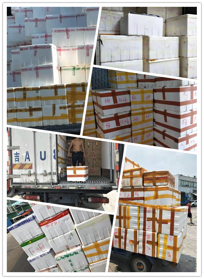 老子有钱lzyq88(中国)有限公司