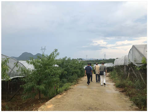 老子有钱lzyq88(中国)有限公司