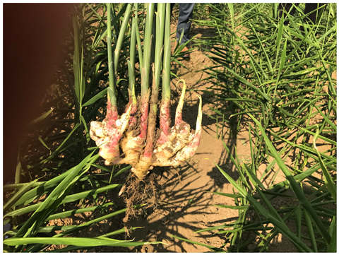 老子有钱lzyq88(中国)有限公司