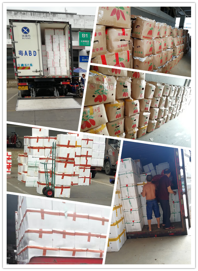 老子有钱lzyq88(中国)有限公司