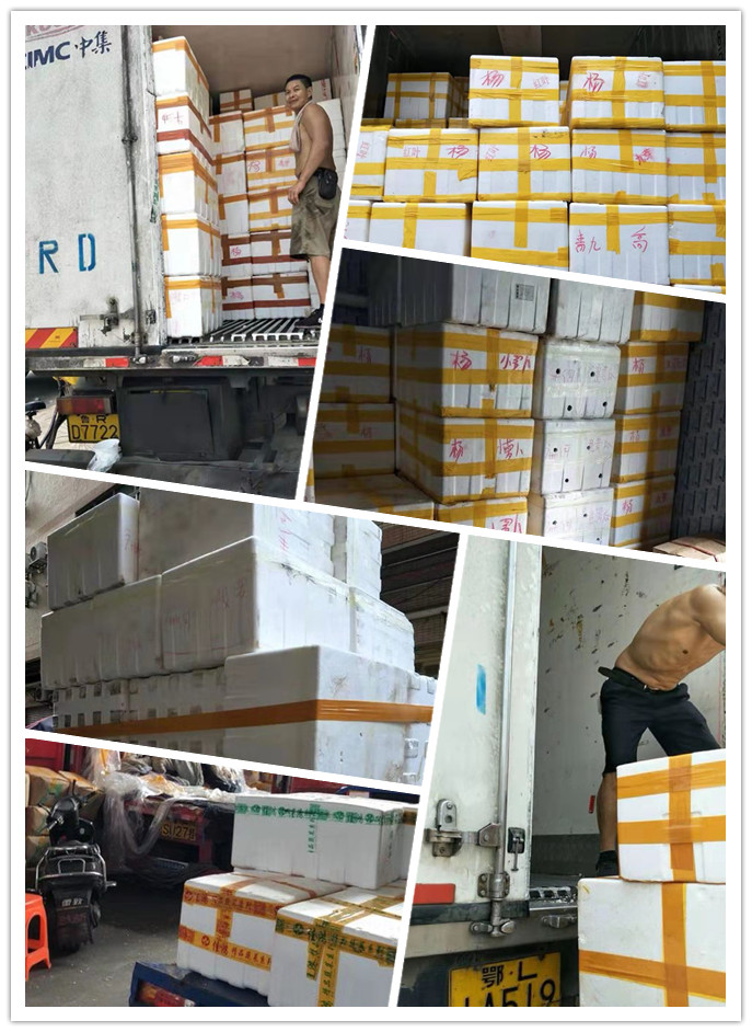 老子有钱lzyq88(中国)有限公司