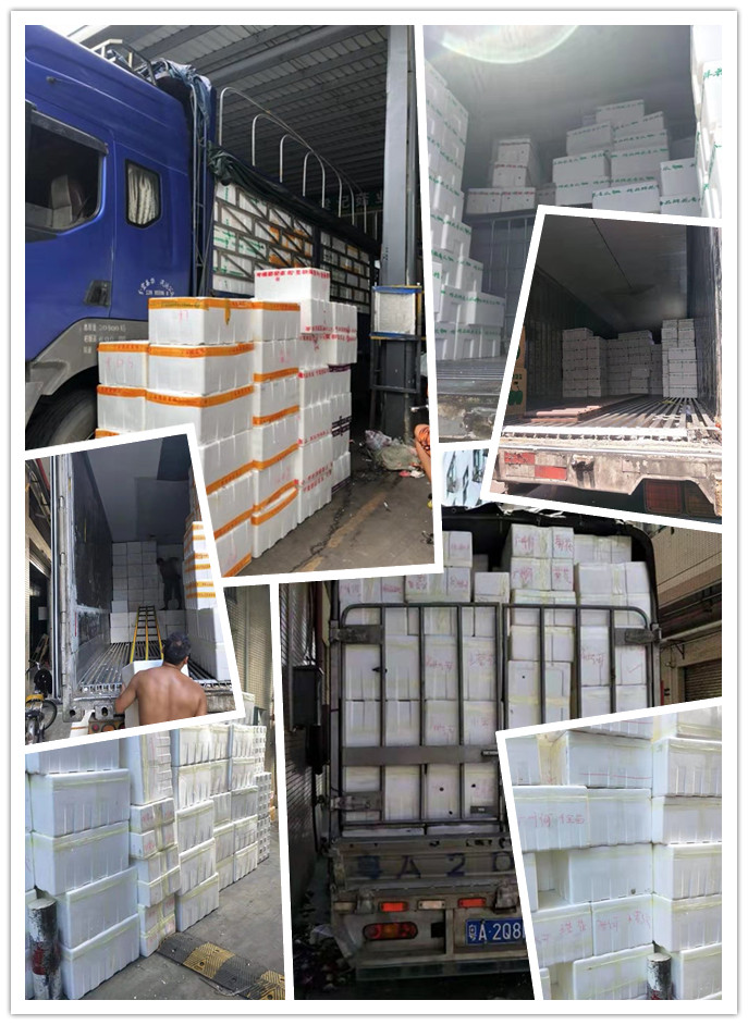 老子有钱lzyq88(中国)有限公司