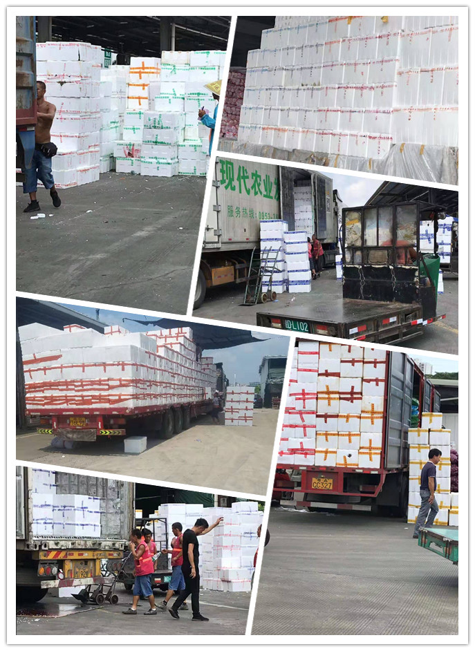 老子有钱lzyq88(中国)有限公司