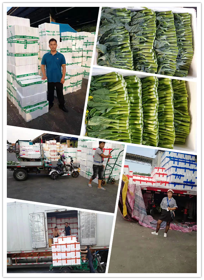 老子有钱lzyq88(中国)有限公司