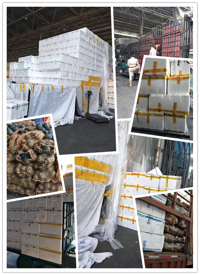 老子有钱lzyq88(中国)有限公司