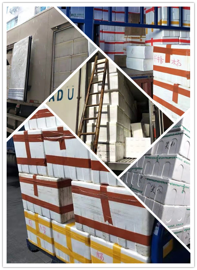 老子有钱lzyq88(中国)有限公司