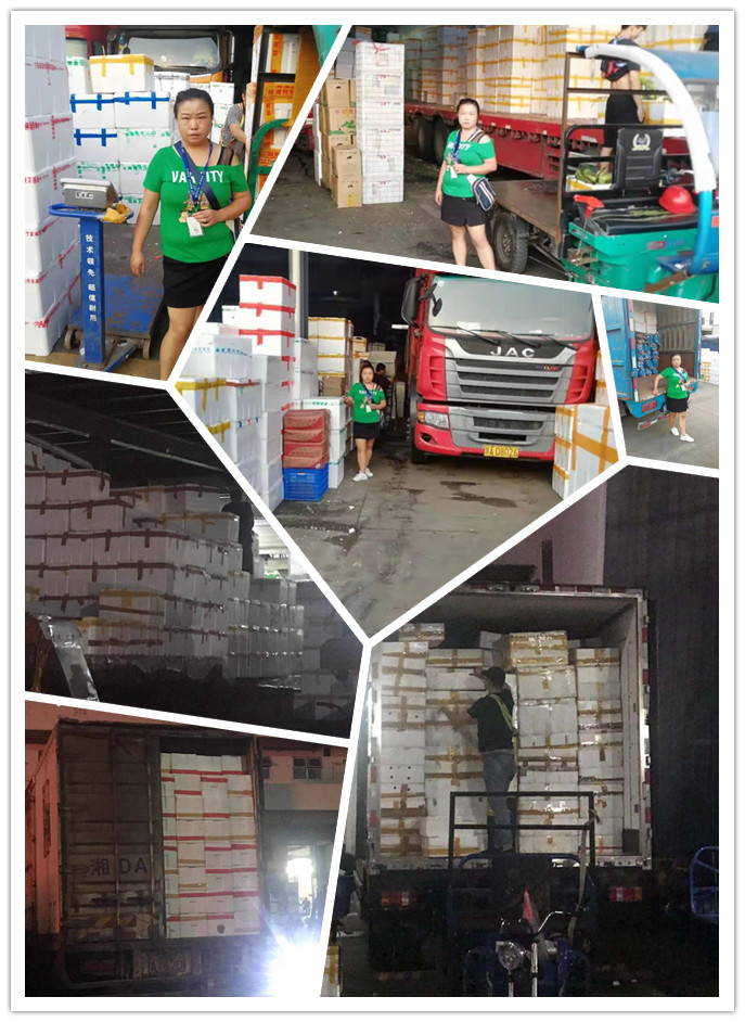 老子有钱lzyq88(中国)有限公司