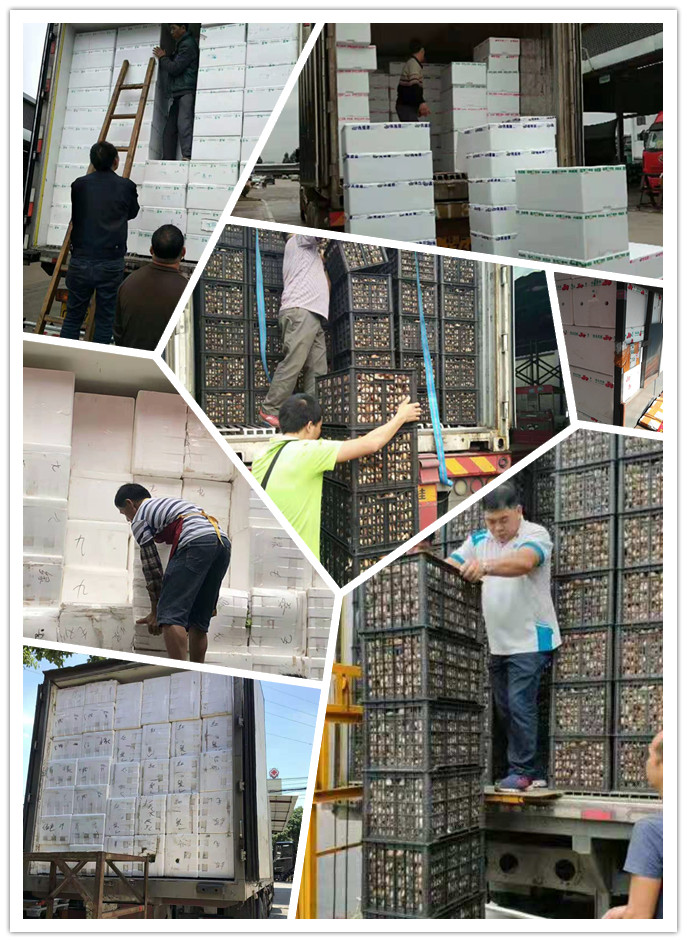 老子有钱lzyq88(中国)有限公司