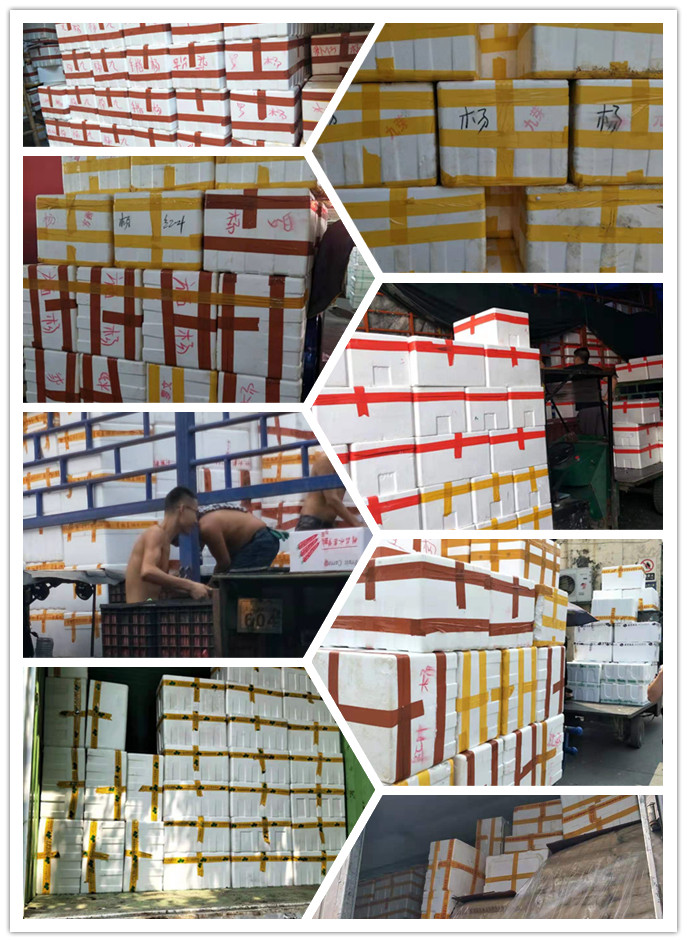 老子有钱lzyq88(中国)有限公司