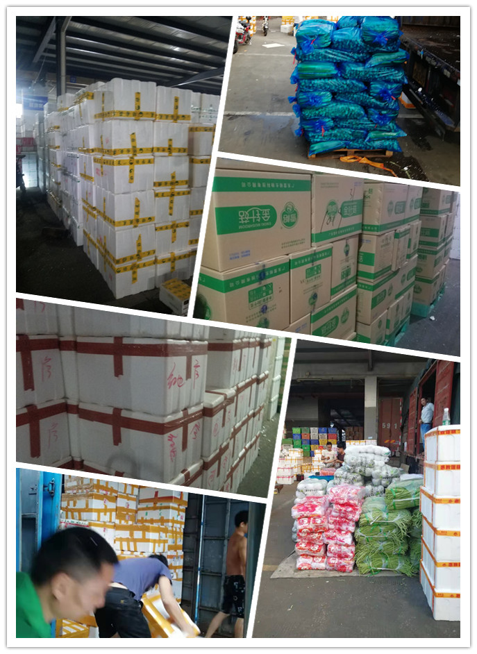 老子有钱lzyq88(中国)有限公司