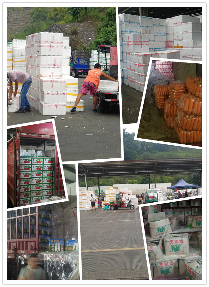 老子有钱lzyq88(中国)有限公司