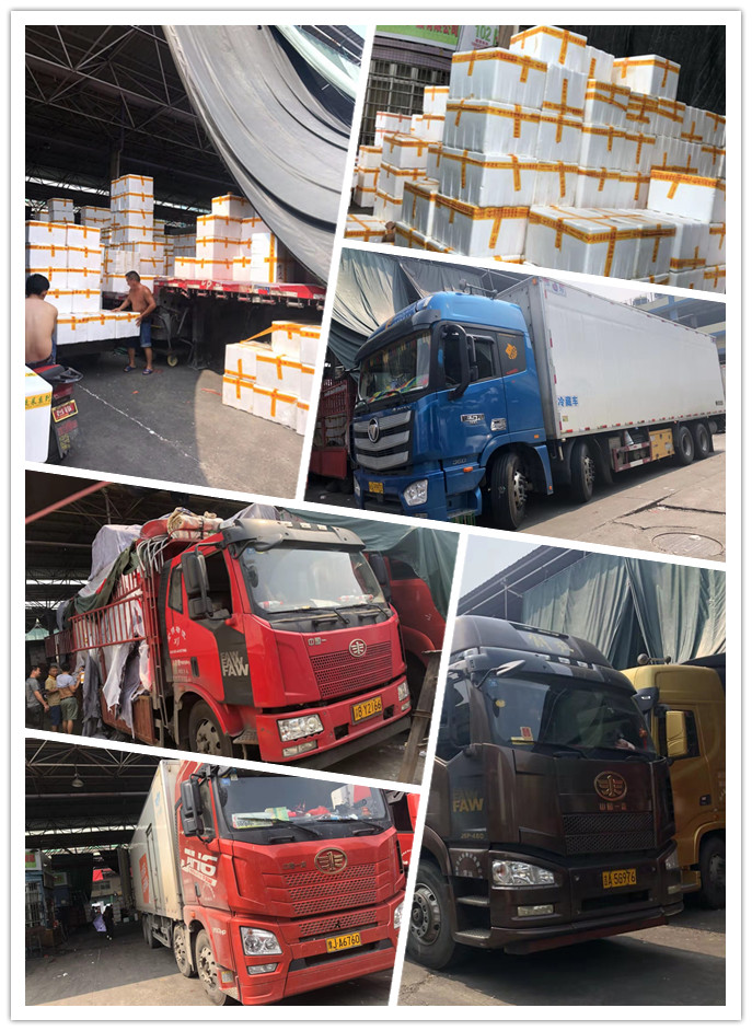 老子有钱lzyq88(中国)有限公司