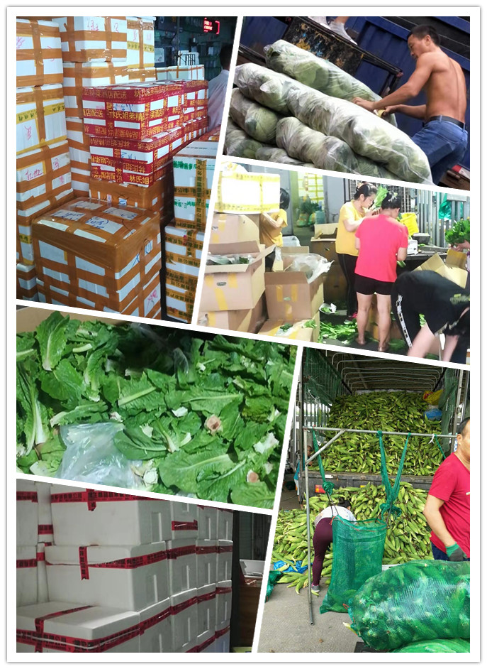 老子有钱lzyq88(中国)有限公司