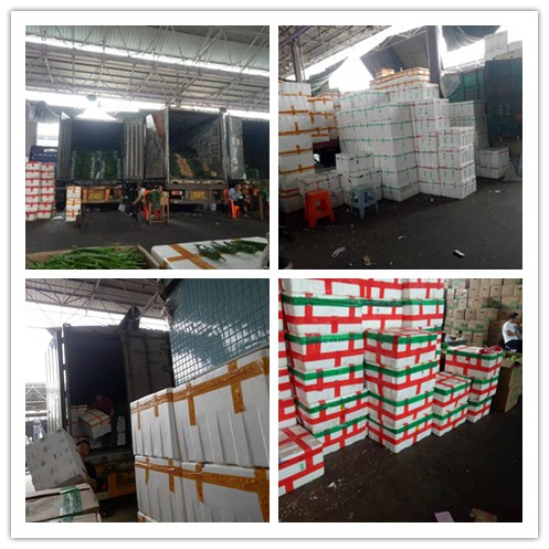 老子有钱lzyq88(中国)有限公司