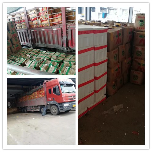 老子有钱lzyq88(中国)有限公司