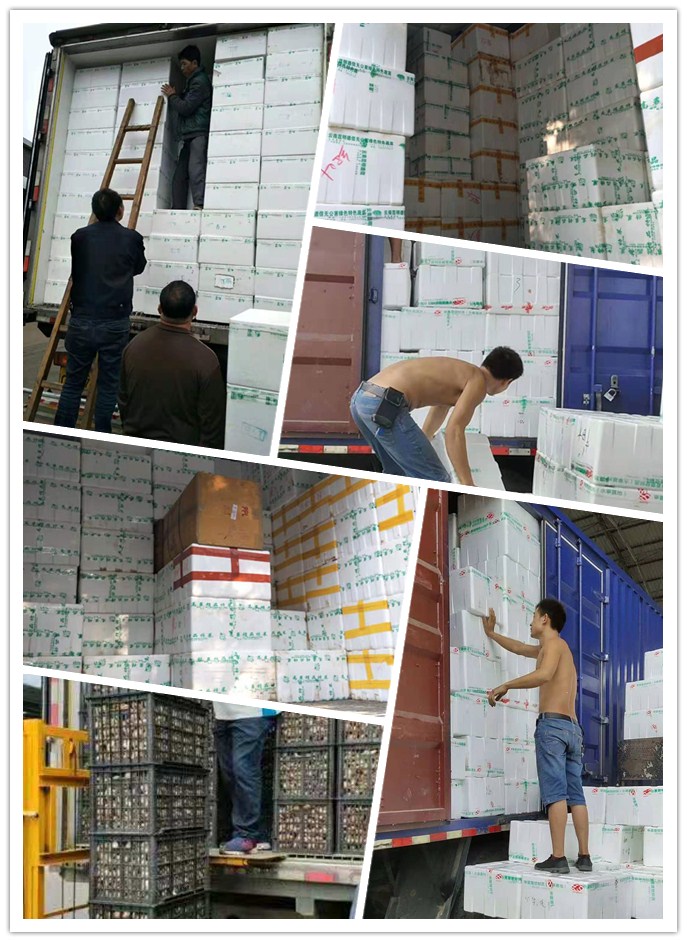 老子有钱lzyq88(中国)有限公司