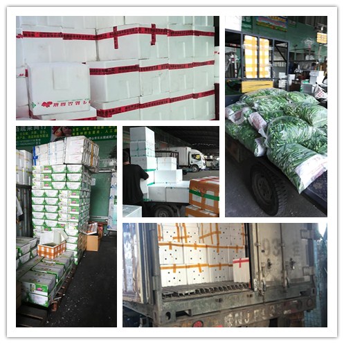 老子有钱lzyq88(中国)有限公司