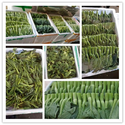 老子有钱lzyq88(中国)有限公司