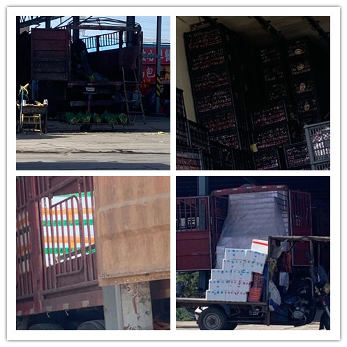 老子有钱lzyq88(中国)有限公司