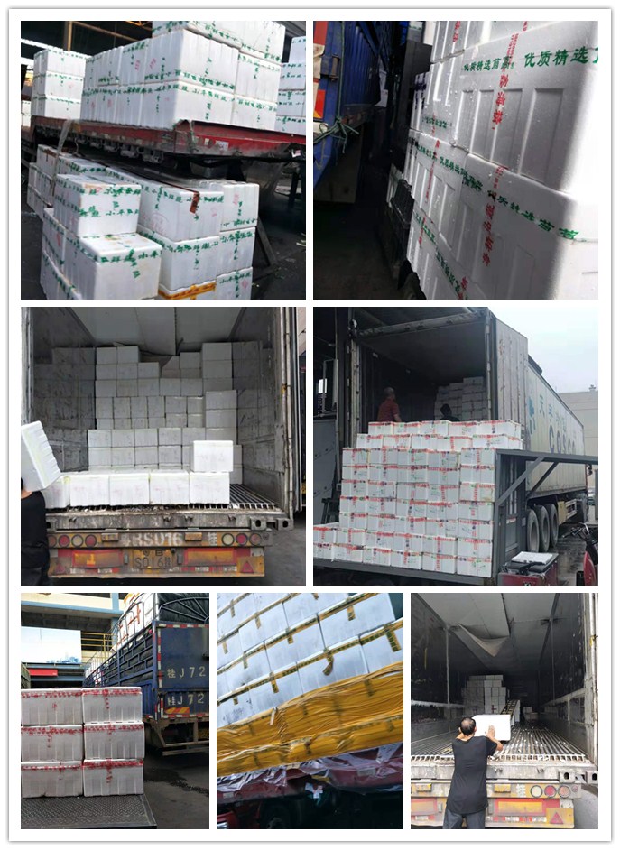 老子有钱lzyq88(中国)有限公司