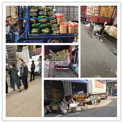 老子有钱lzyq88(中国)有限公司