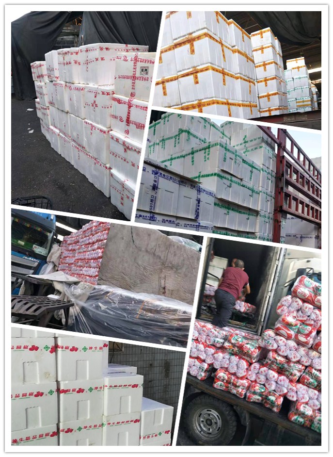 老子有钱lzyq88(中国)有限公司