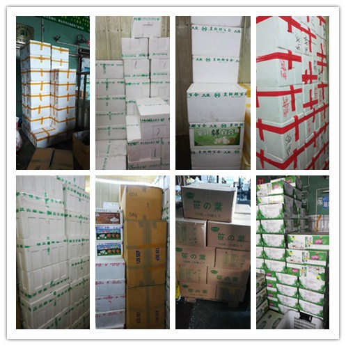 老子有钱lzyq88(中国)有限公司