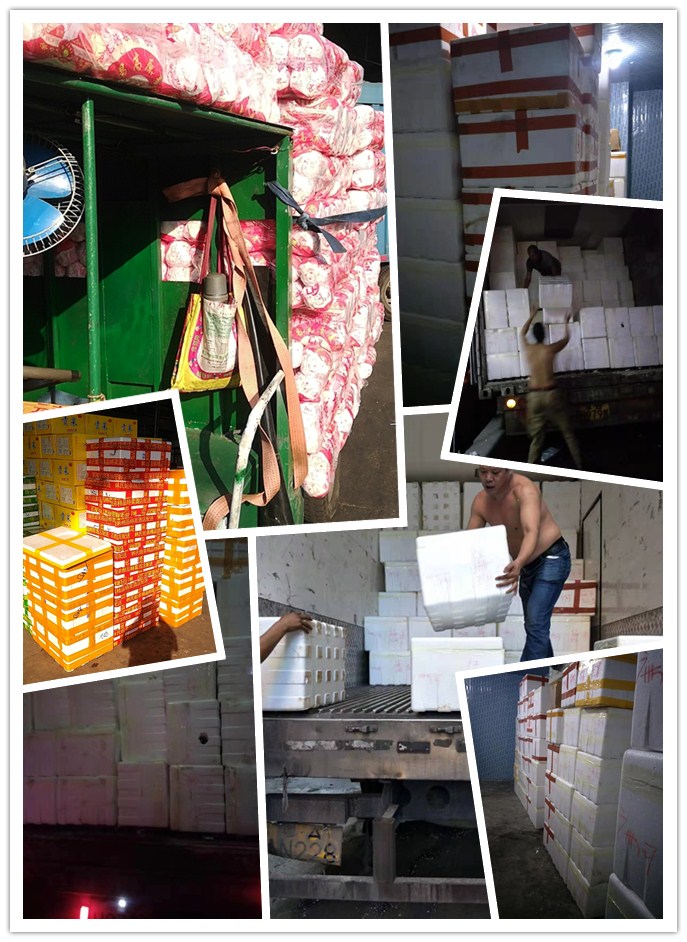 老子有钱lzyq88(中国)有限公司