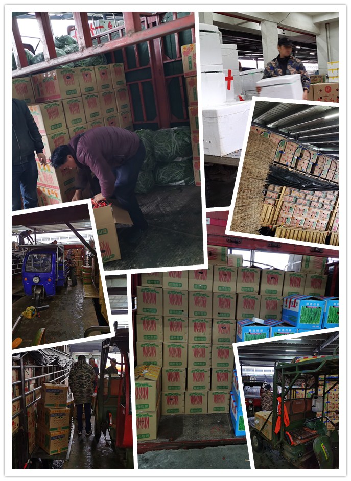 老子有钱lzyq88(中国)有限公司