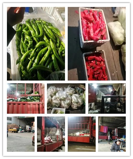 老子有钱lzyq88(中国)有限公司