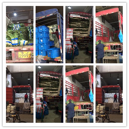 老子有钱lzyq88(中国)有限公司