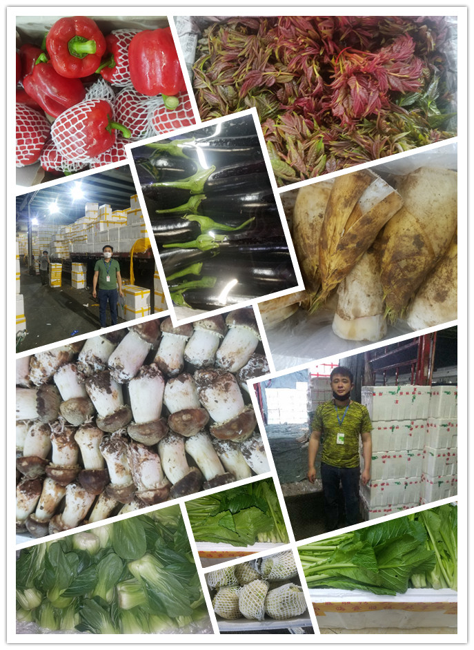 老子有钱lzyq88(中国)有限公司