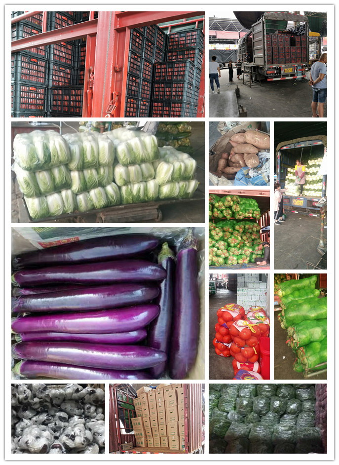 老子有钱lzyq88(中国)有限公司