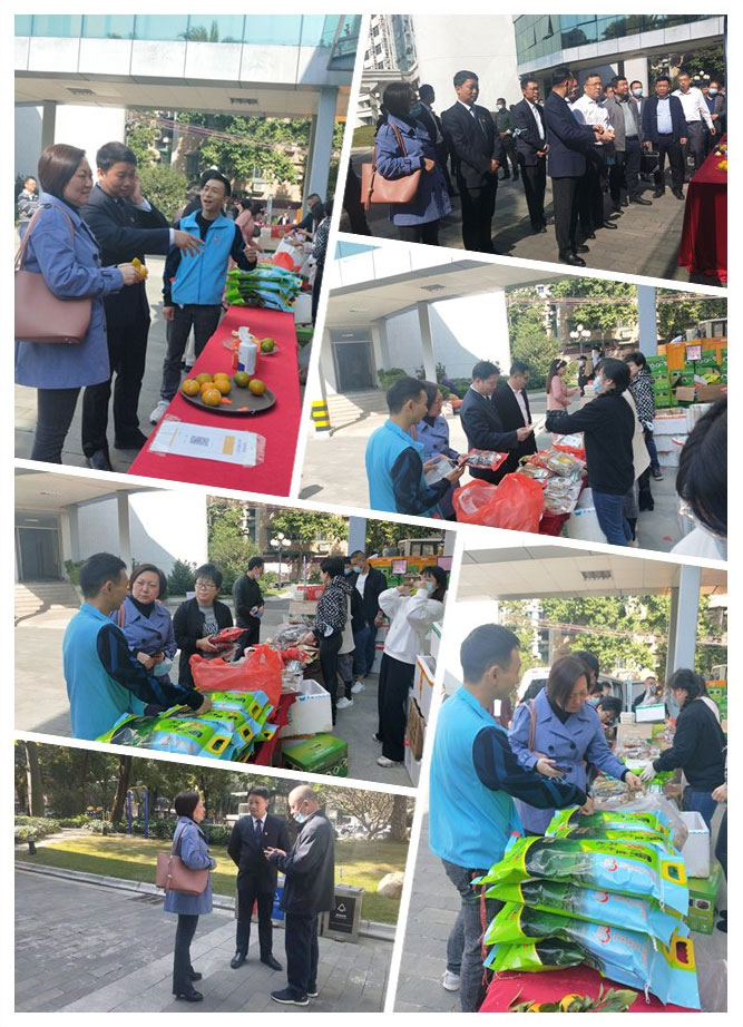 老子有钱lzyq88(中国)有限公司